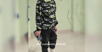 В Челябинске стая бездомных собак искусала мальчика