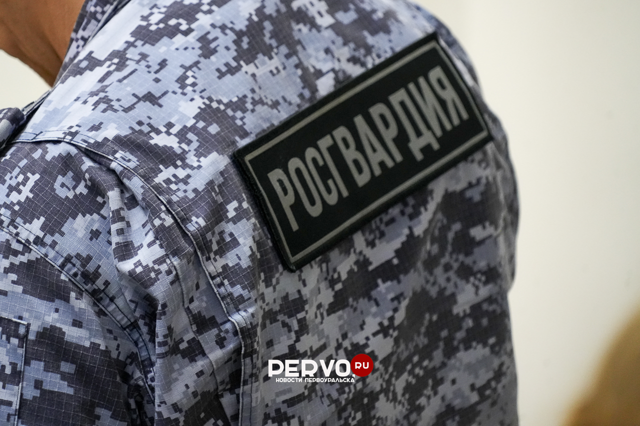 Сотрудники Росгвардии огласили статистику нарушений правил оборота оружия