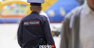 В Приморье педофил изнасиловал пятерых девочек