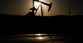 Пилкингтон: заморозка потолка цен на российскую нефть говорит о крахе санкций